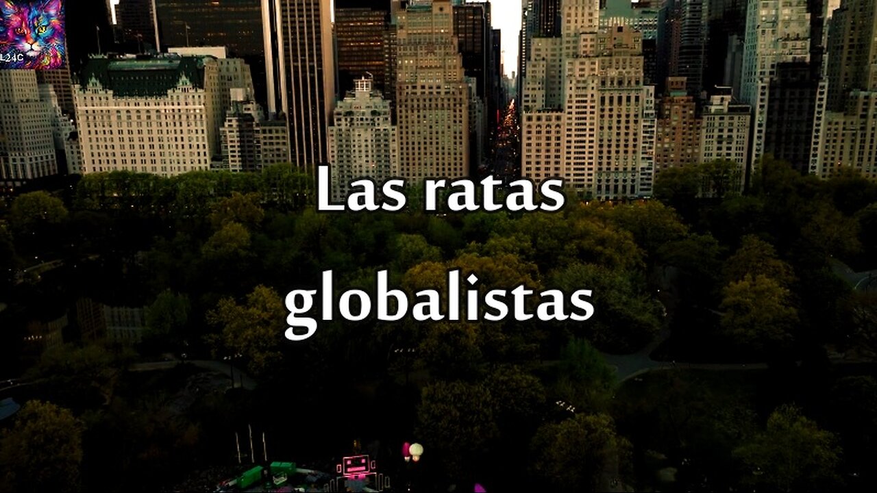 Imfo 2 3 25 las ratas globalistas en pleno colapso