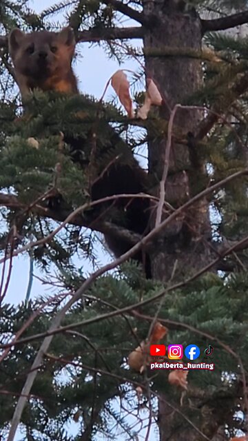 Martin Checking me Out