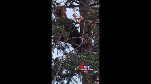 Martin Checking me Out