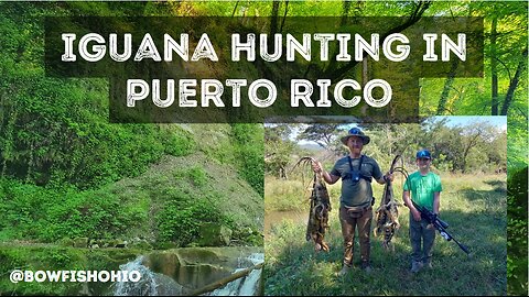 Iguana Hunting Adventure in Puerto Rico | Ultimate Iguana Hunting Experience!