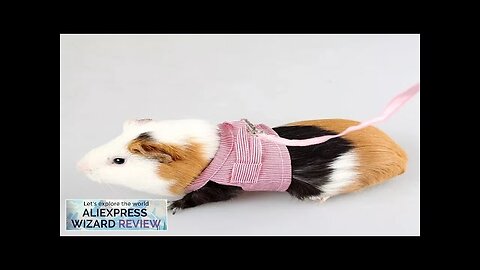 S/L Small Pets Chest Strap Hamster Outdoor Traction Rope Adjustable Harness Leash Review