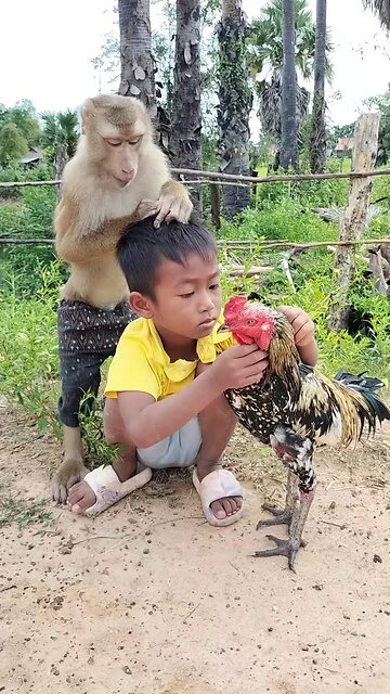 Best SokYaa, OG, Pao & Mom Are Famous Around The World #shorts #anime #trend #edit