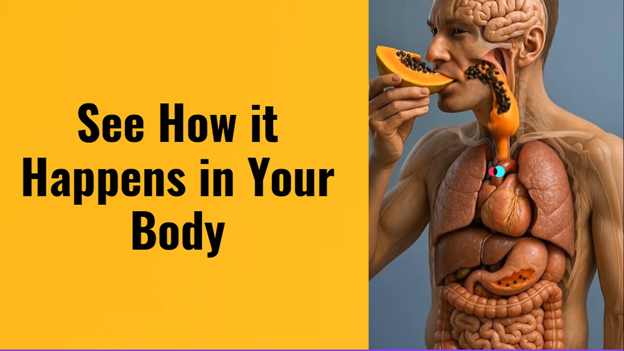 See How it Happens in Your Body