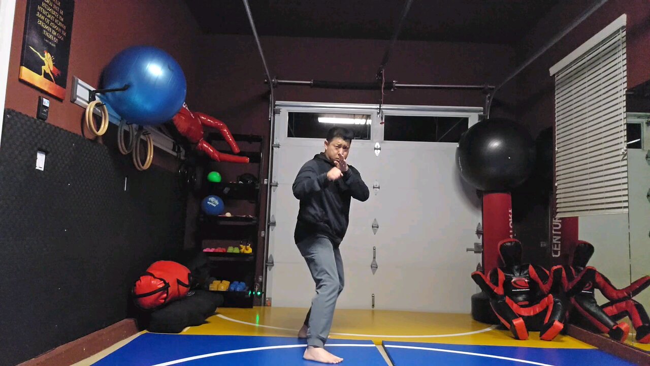 WTD 2 Step Kick Combination 53