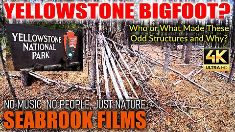 Yellowstone Bigfoot? Who or What Made These Odd Structures in Yellowstone National Park and Why?