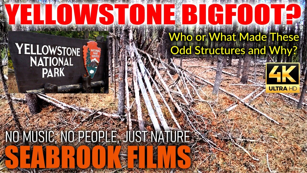 Yellowstone Bigfoot? Who or What Made These Odd Structures in Yellowstone National Park and Why?