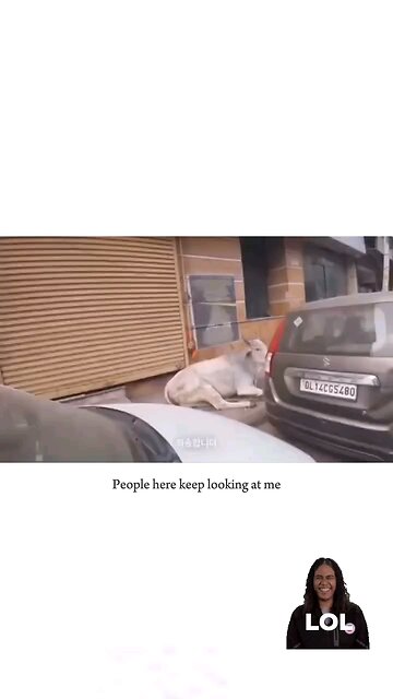 very unexpected 😂🥶