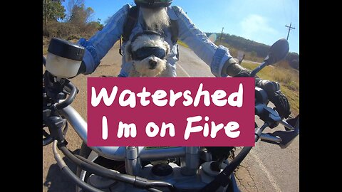 Watershed - I m on Fire