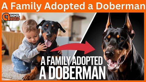 A Family Adopted a Doberman 🐾 | Animal Vised