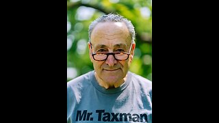 Mr. Taxman (Chuck Schumer and the Demo-commie Gang)