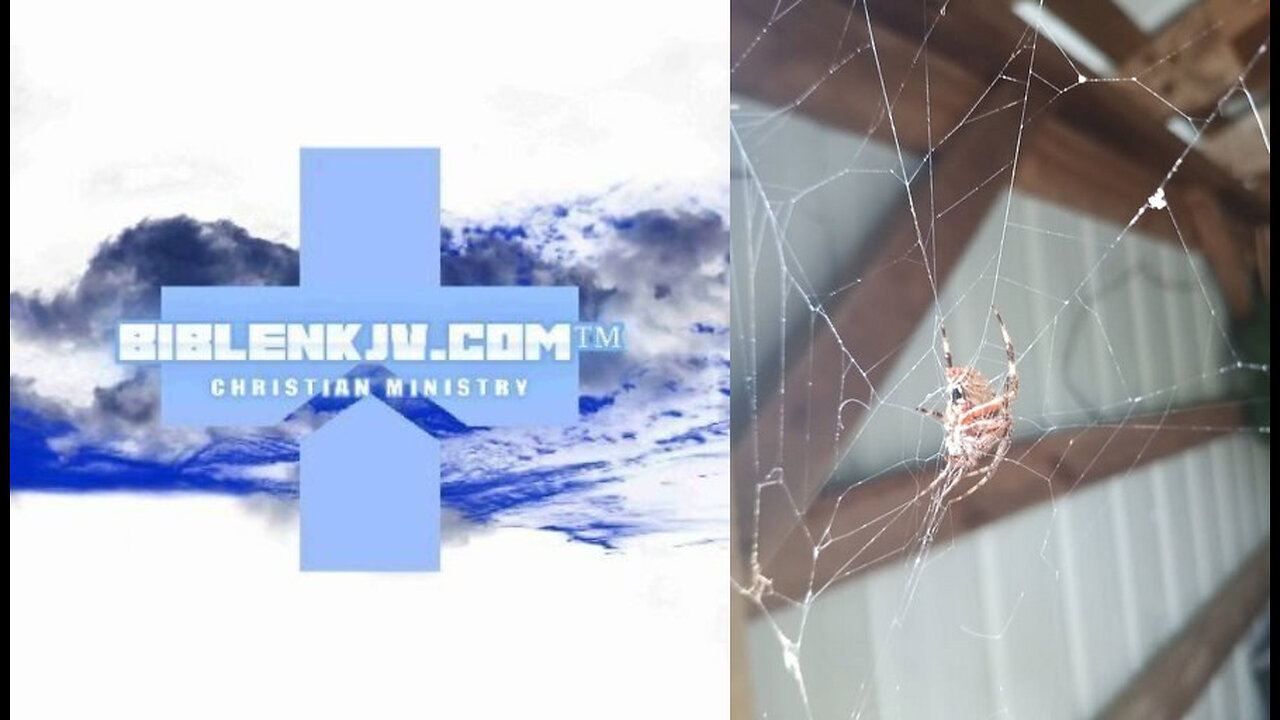 BIBLENKJV.COM™ 🛐 ITSY BITSY SPIDER #COMEDY