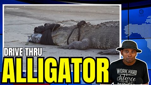 ALLIGATOR captured in McDonald's parking lot in Macon Georgia
