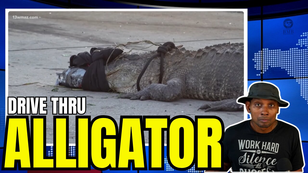 ALLIGATOR captured in McDonald's parking lot in Macon Georgia