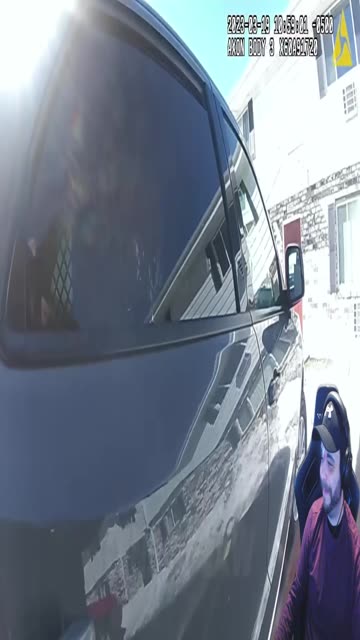 Calm Cohesive Behavior!