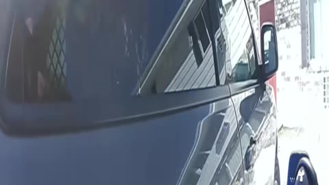 Calm Cohesive Behavior!