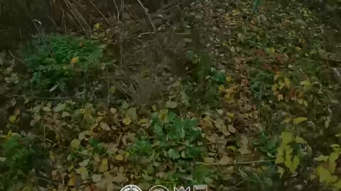 Ukrainian Forces stormed a Russian position in Rodynske!