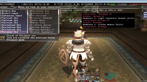 Playing Final Fantasy XI Online