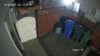 😂🆘 Let Me Out! My People Need Me! | FunFM