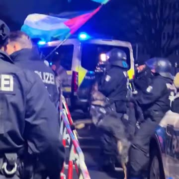 In Germany, puppies are annoyed by what they see.