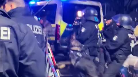 In Germany, puppies are annoyed by what they see.