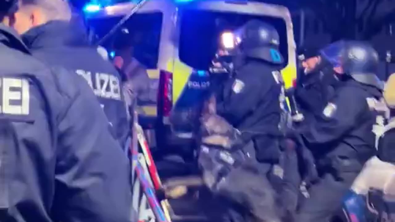 In Germany, puppies are annoyed by what they see.