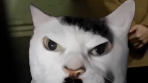 Kittler