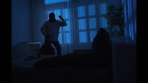 Thief In The Night