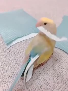 Halloween costume making