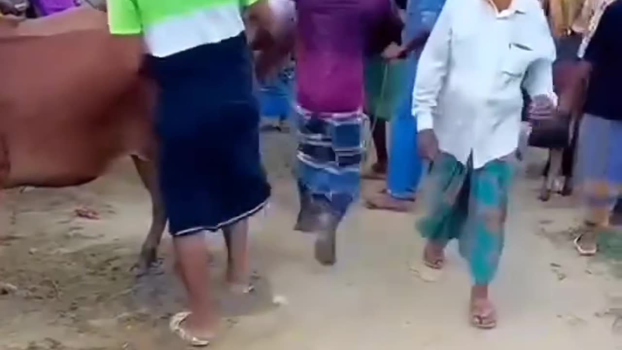 #funny #entertainment #lol