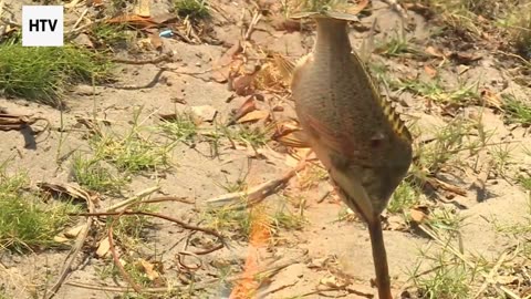 Where Earth Meets the Sky