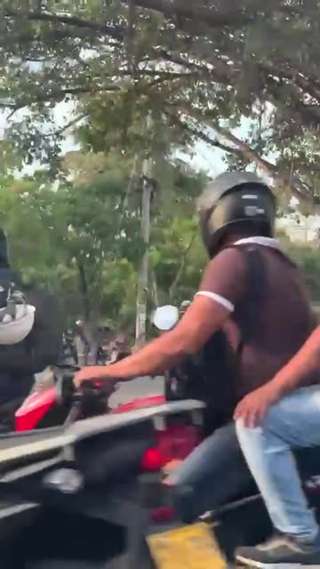 ROBO EN NUEVO BOSQUE