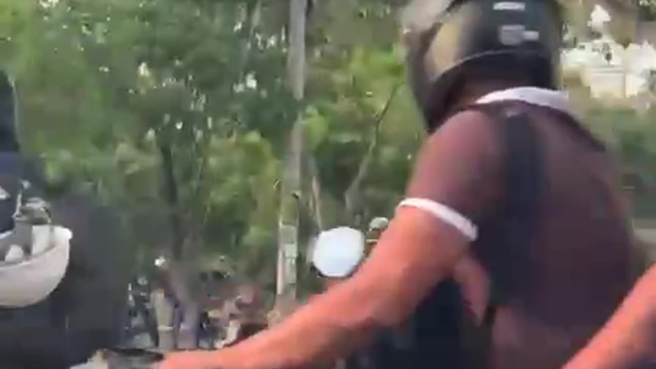 ROBO EN NUEVO BOSQUE