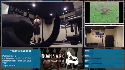 Gym Session w/Remy Rem [Week 35] - Back & Chest // Animal Rescue Stream :)