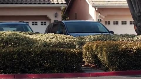 #DublinUnrest #ImmigrationTensions #EuropeWatch #SocialCohesionCrisis #GlueOfSociety