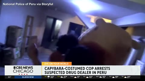 Peruvian Drug Dealer Had No Idea What Hit Him