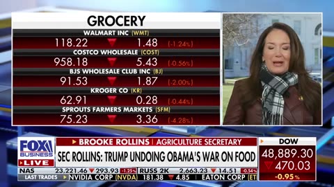 'AMERICA WOKE UP' Rollin's reveals a 'silver lining' from 'ridiculous' Dem shutdown