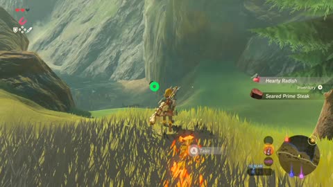 Zelda: Breath of the Wild (Switch 2) – Part 10