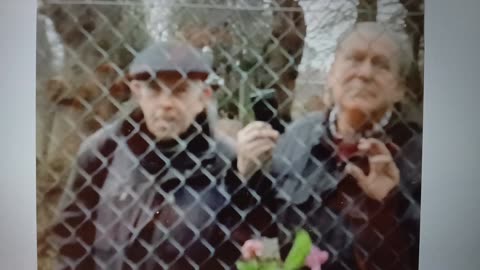 Stalking paparazzi at the fence