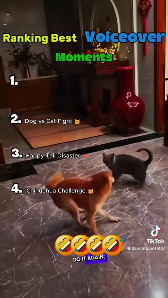 BESTest VOICEovers SUNDAY 11/16/25