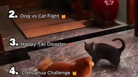 BESTest VOICEovers SUNDAY 11/16/25