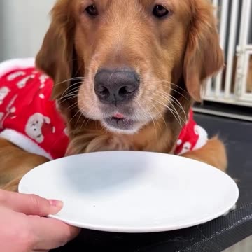 Cough it up budd 🤣