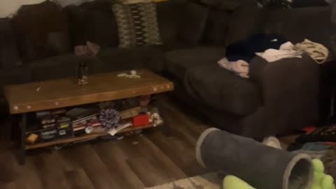 👻🎶 Ghost Enjoys Country Music in My Home! | TheHauntingHour