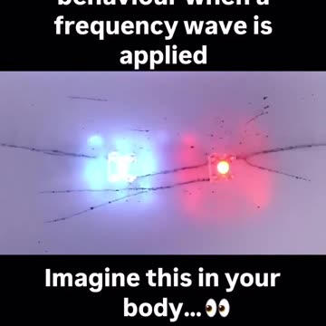 Graphene Oxide on the Inside! - Reloaded from STFNEWS