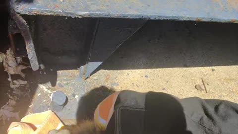 Helping a Raccoon Stuck in a Tight Spot