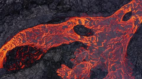 Indie Lofi Meets Classical Calm