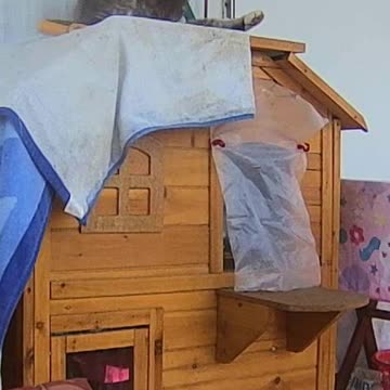 EA S181 - Bathing Cinnamon