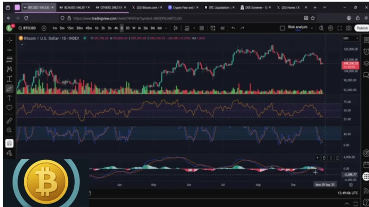 🎉 Bitcoin Weekend Shenanigans: Price Predictions & More!!!! 🚀