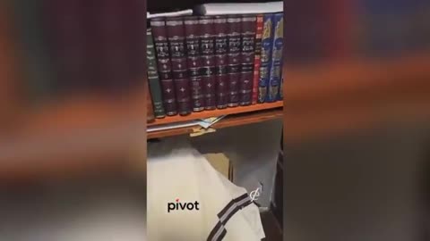 What's with These Weirdos and Their Tunnels