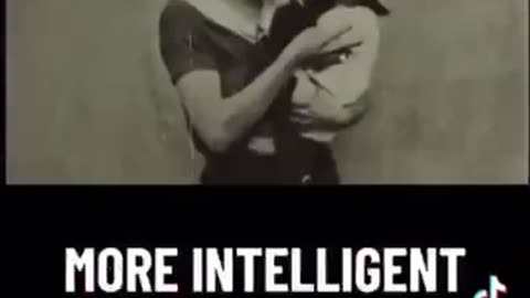 Your Environment Doesn't Matter