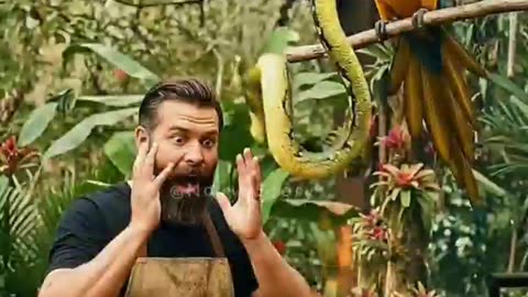 😱🔥 A parrot saves a man from a green snake and throws it into the fire! Unbelievable! 🦜🐍 #shorts#fyp